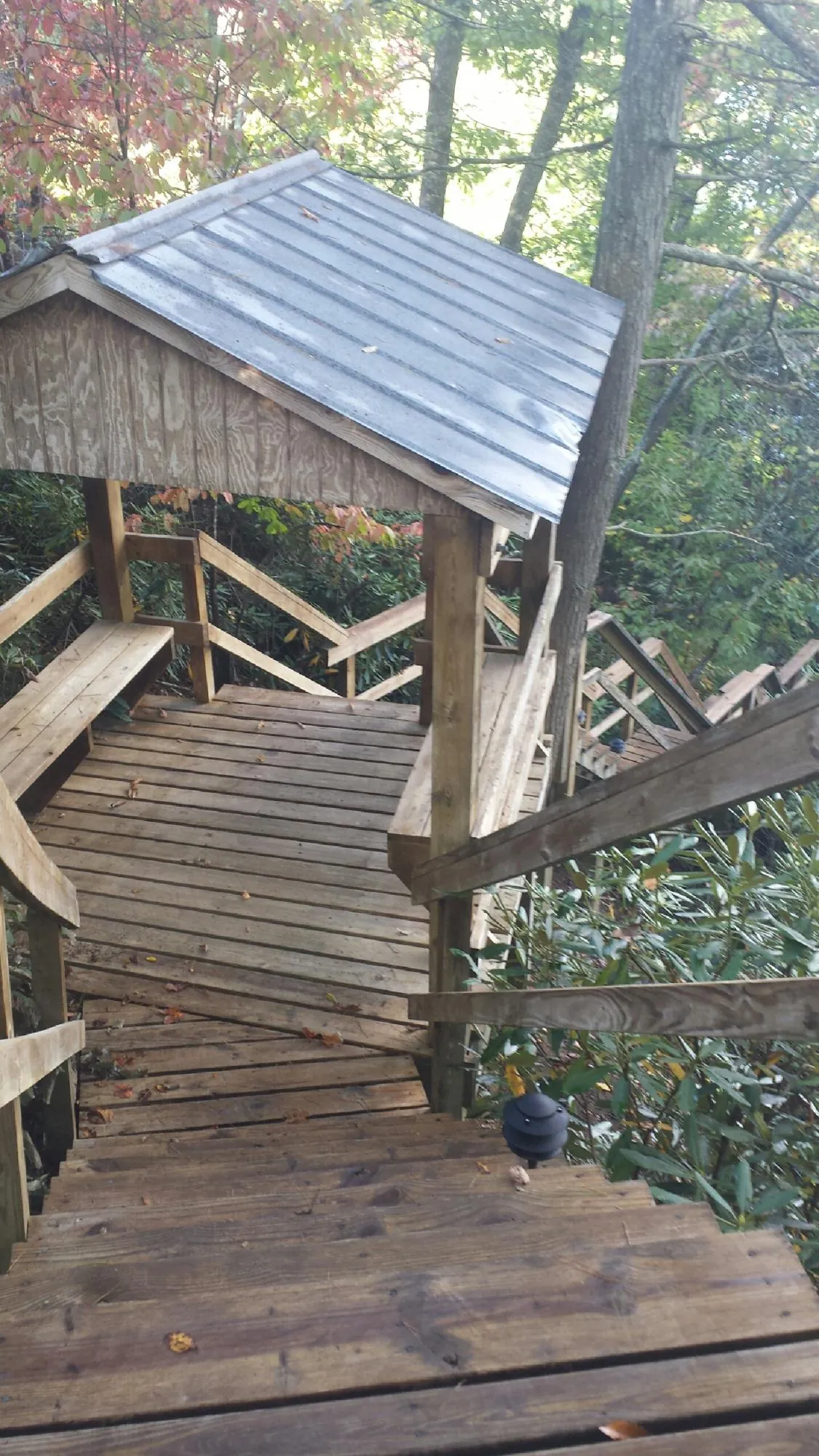 Metal roofed shelter over wooden steps on a wooded walkway — Skylight Repair & Installation work by our crew in Lake Oswego