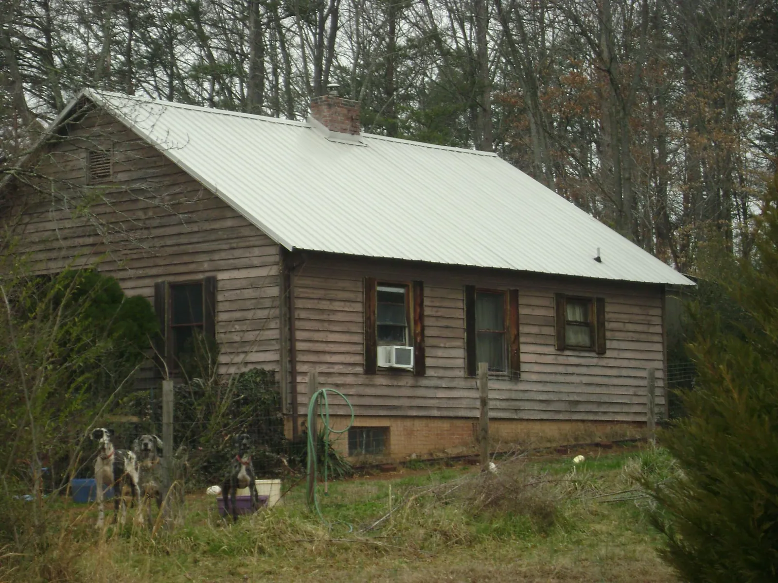 White metal roof on an old wood sided farmhouse, from a Asphalt Shingle Roof Repair job in Lake Oswego